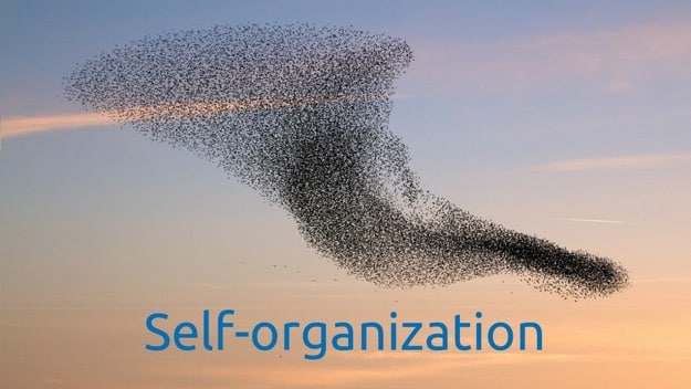 The Power of Self-Organization